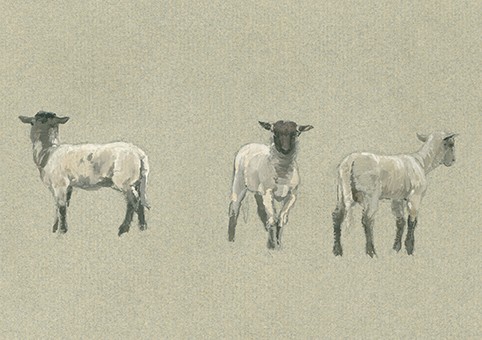 'Three Sheep' by Alfred Parsons RA (C387) *