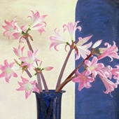 Art Press Sale
