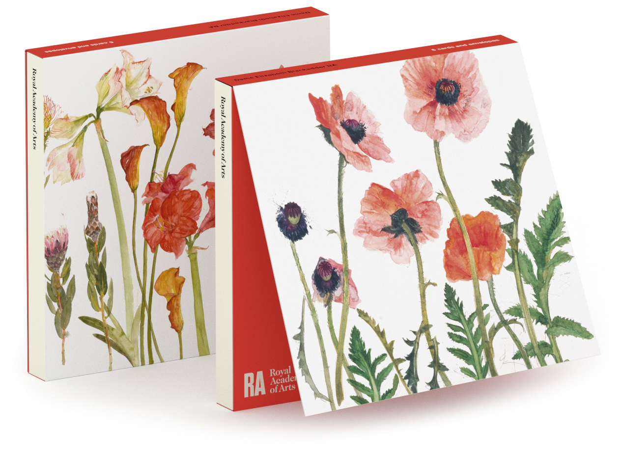 'Notecard Wallet' 3 x 2 designs by Elizabeth Blackadder RA (Oriental Poppies/Amaryllism Proteus et al.) (CN020)