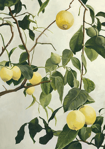 'Fresh from the Vine' 2022 by Holly Newman (C638) 