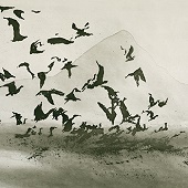 Norman Ackroyd RA