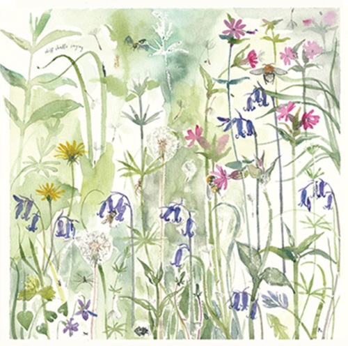 'April Woods and Insects' by Rachel Porter (T120) NEW