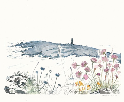 'Bardsey Lighthouse and Thrift Flowers' by Rachel Porter (T149) NEW