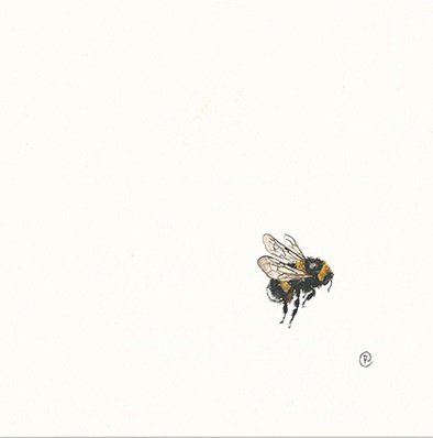 'Bumblebee' by Rachel Porter (T148) NEW