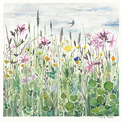 'Swallow over Enlli Wetlands' by Rachel Porter (T109) NEW