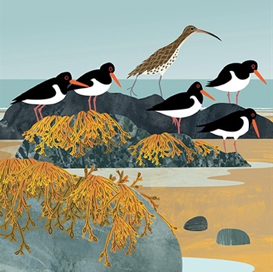 'Curlew and Oystercatchers' by Rachel Hudson (T080) 