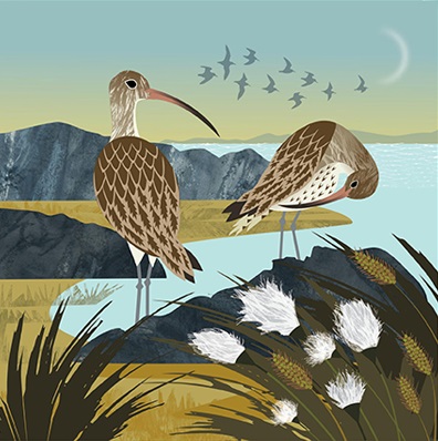'Curlews and Cotton Grass' by Rachel Hudson (T069) NEW 