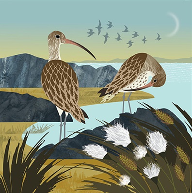 'Curlews and Cotton Grass' by Rachel Hudson (T069) 