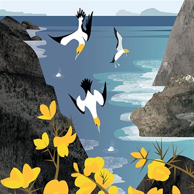 'Diving Gannets' by Rachel Hudson (T072)