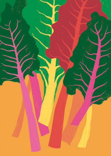 'Rainbow Chard' by Ana Zaja Petrak (B508) 