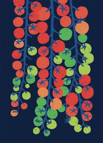 'Rainbow Tomatoes' by Ana Zaja Petrak (B602) NEW