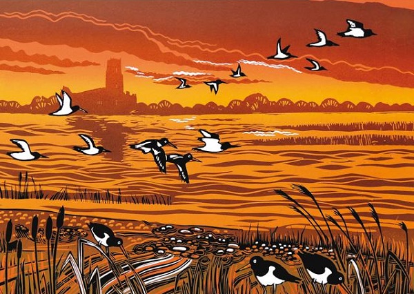 'Riverside Oystercatchers' by Rob Barnes (R290) d