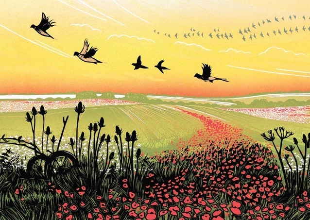 'Flight Path' by Rob Barnes (R301) d