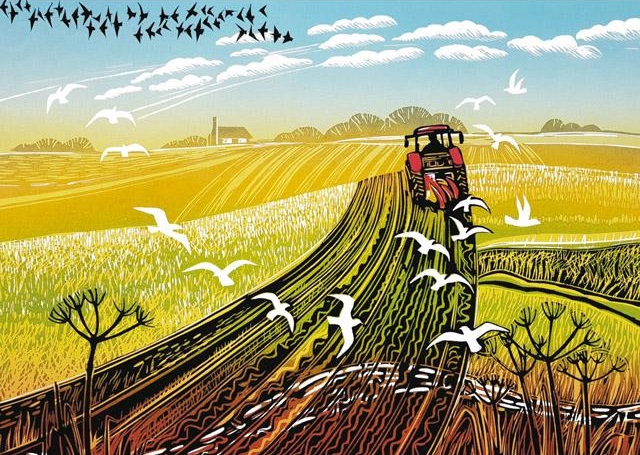 'Ploughing the Furrows' by Rob Barnes (R237)