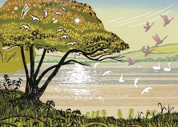 The Rob Barnes Collection