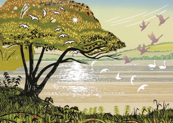 'Riverside Flight' by Rob Barnes (R368) NEW