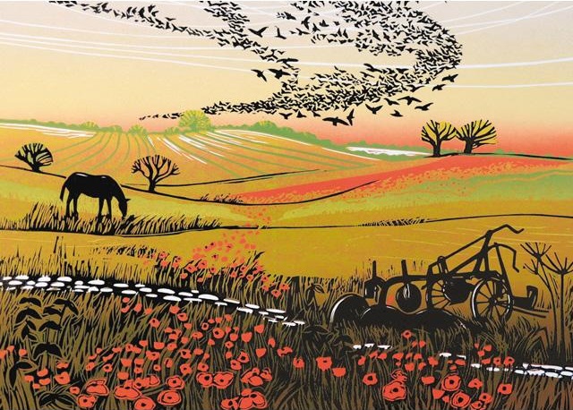 'Starlings and Poppies' by Rob Barnes (R234)