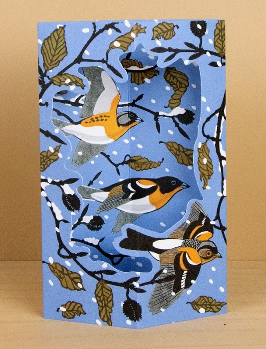 Beech and Bramblings die-cut box card by Robert Gillmor (AP081) NEW 