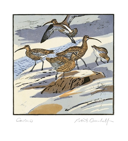'Curlews' by Robert Greenhalf (V125) 