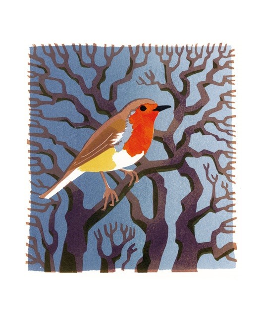 'Robin' by Carry Akroyd (A142w)