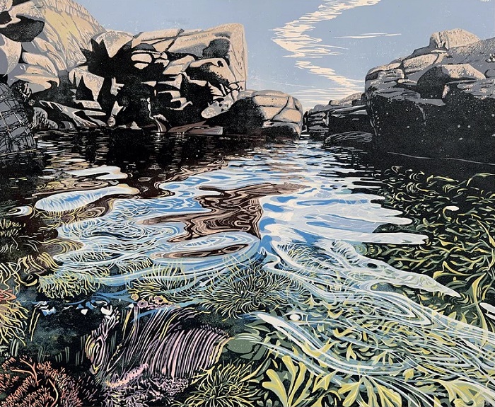 'Rockpool' by Hazel McNab (T146) NEW 