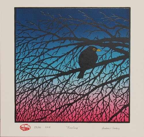 'Roosting' by Andrew Seaby 