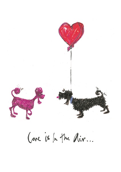 'Love is in the Air' by Sam Toft  (VALENTINE'S DAY) (0V20d) Was 3.15, now 1.75