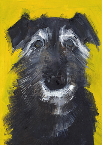 'Elderly Dog' 2018 by Sally Muir (C457) * 