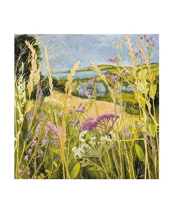 Our Latest Cards
