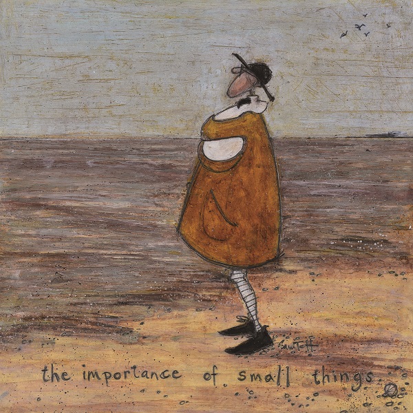 'the importance of small things' by Sam Toft (C579) NEW