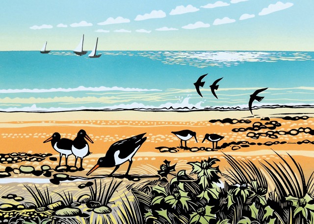 'Sea Holly and Oystercatchers' by Rob Barnes (R033)