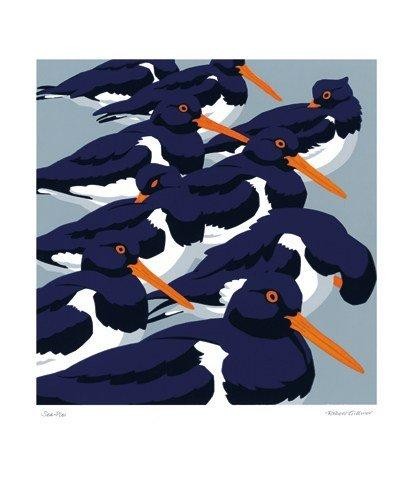 'Sea-Pies (Oyster Catchers)' by Robert Gillmor (A438) 