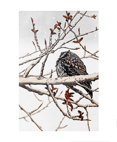 'Waiting for Spring' by Sherrie York (A881w) 