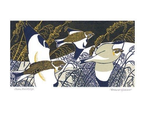 'Snow Buntings' by Robert Gillmor (A443w)