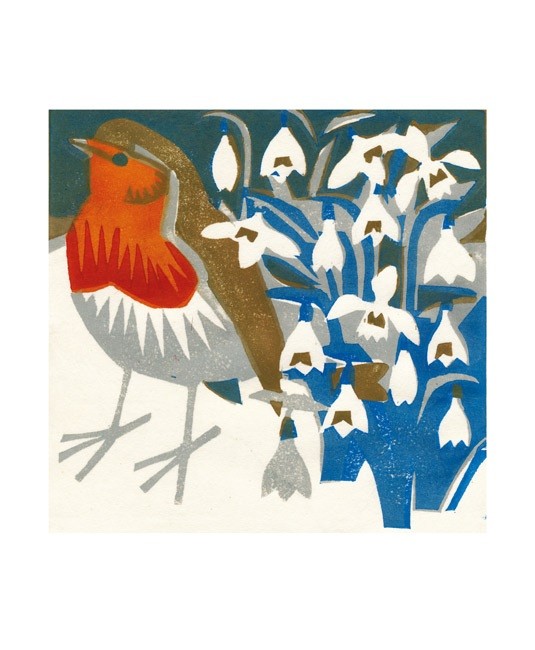 'Snowdrop Robin' by Matt Underwood (A187w)