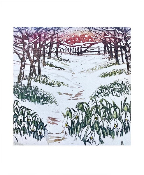 'Snowdrop Wood' by Sally Winter (A987w)