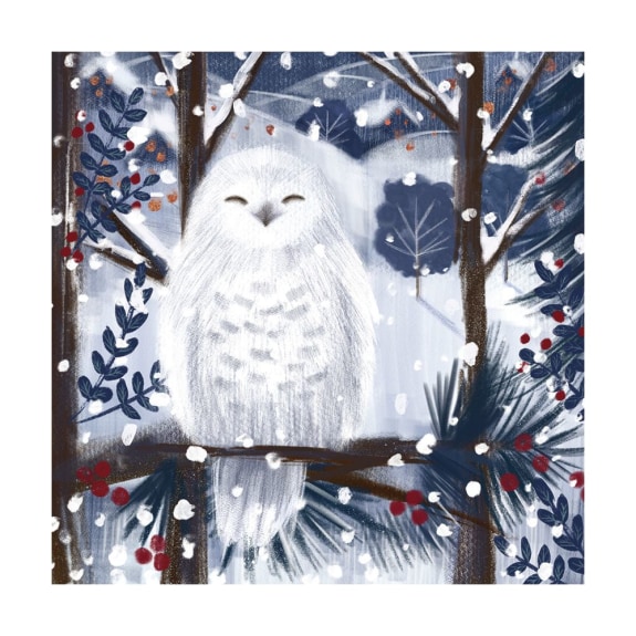 'Snowy Owl' by Catherine Worsley (8 pack) (VX01) (message inside)  NEW