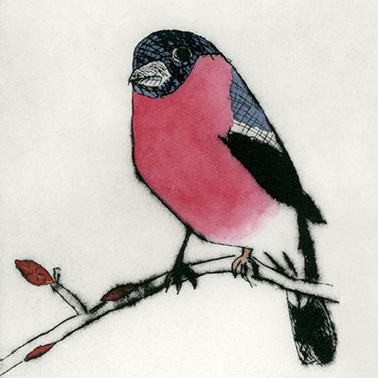 'Spring Bullfinch' by Richard Spare (C079) *