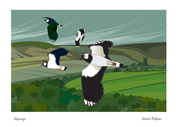 'Lapwings' by Stuart Renfrew (J065)