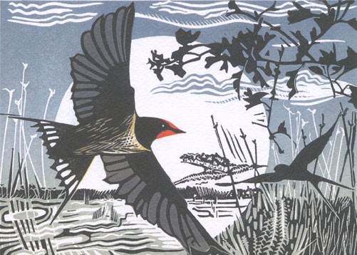 'Swallows' by Pam Grimmond (B274) d