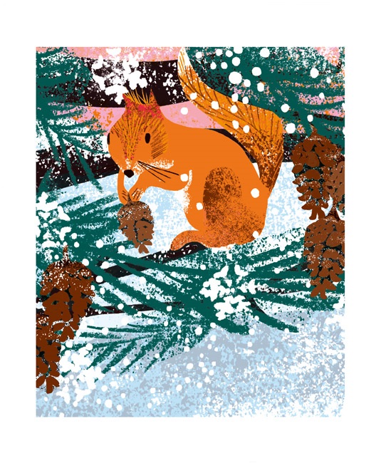'Winter Squirrel' by Tim Hopgood (A788w)