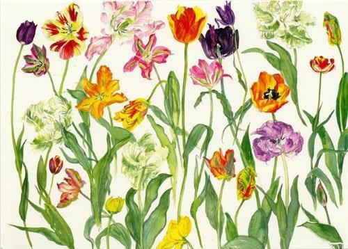 'Tulips' by Dame Elizabeth Blackadder (B079)