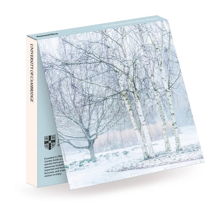 Howard Rice 'Silver Birch Trees in Winter' UCAM (CX) g2 (10 card wallet) NEW Coming Soon