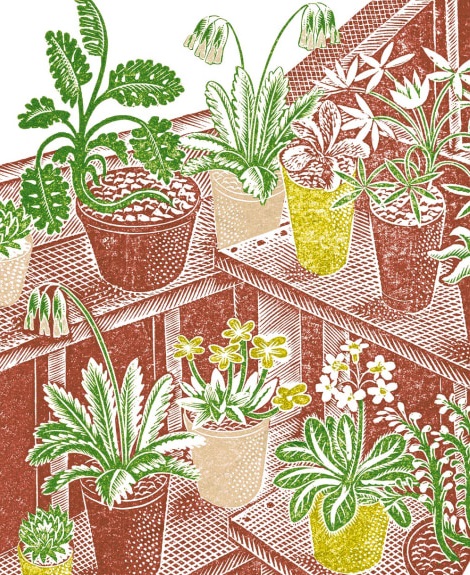 Ravilious Plants by Eric Ravilious (1903 - 1941) (V161) 
