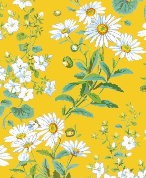 Yellow Daisies (floral wallpaper design) by Charlotte Horne Spiers (1844 - 1914) (V189) NEW