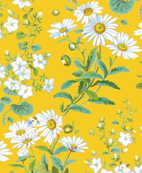 Yellow Daisies (floral wallpaper design) by Charlotte Horne Spiers (1844 - 1914) (V189) 