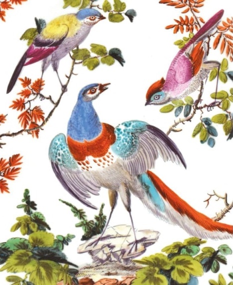Birds Chelsea Porcelain (detail from dish) c1760s (V190) NEW