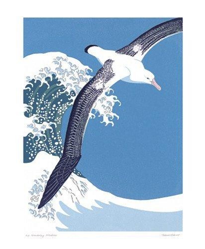 'Wandering Albatross' by Robert Gillmor (A446) *