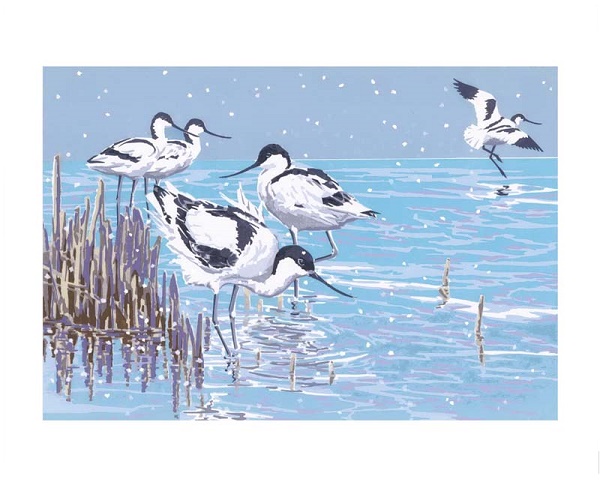 'Winter Avocets' by Lizzie Perkins (A989w) 