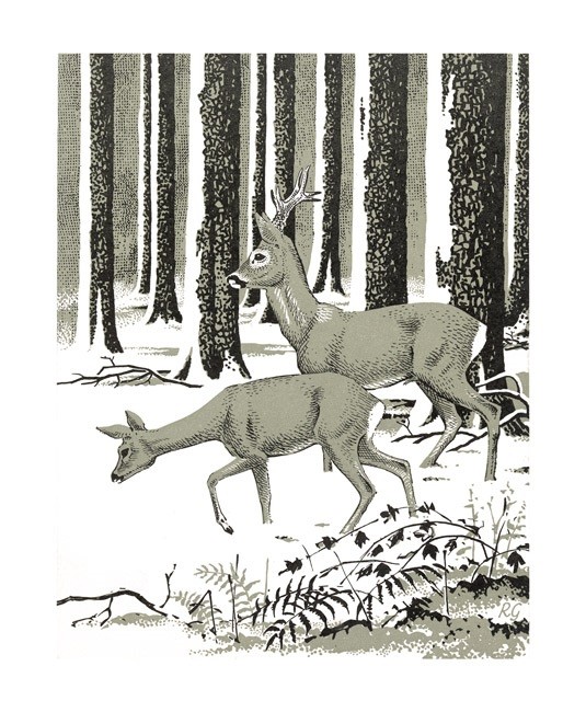 'Winter Deer' by Robert Gillmor (A147w)